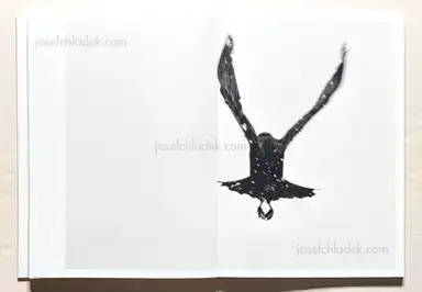 Sample page 4 for book "Boehm, Angela – Angela Boehm - Minus Thirty" Sample page 4 for book "Boehm, Angela – Angela Boehm - Minus Thirty"