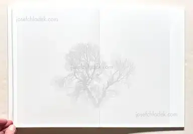 Sample page 2 for book "Boehm, Angela – Angela Boehm - Minus Thirty" Sample page 2 for book "Boehm, Angela – Angela Boehm - Minus Thirty"