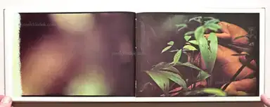 Sample page 16 for book "Andujar, Claudia & George Love – Claudia Andujar & George Love - Amazônia" Sample page 16 for book "Andujar, Claudia & George Love – Claudia Andujar & George Love - Amazônia"