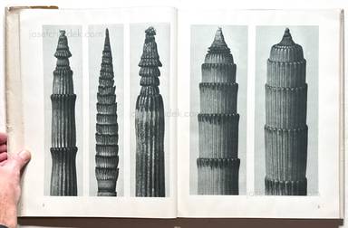 Sample page 1 for book  Karl Blossfeldt – Urformen der Kunst