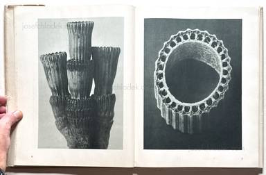 Sample page 2 for book  Karl Blossfeldt – Urformen der Kunst