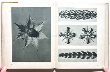 Sample page 9 for book  Karl Blossfeldt – Urformen der Kunst