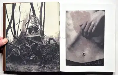 Sample page 19 for book "Bakin, Vic – Vic Bakin - Epitome" Sample page 19 for book "Bakin, Vic – Vic Bakin - Epitome"