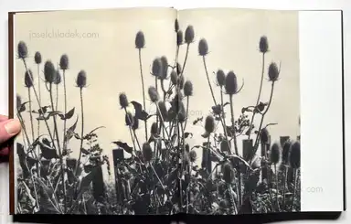 Sample page 17 for book "Bakin, Vic – Vic Bakin - Epitome" Sample page 17 for book "Bakin, Vic – Vic Bakin - Epitome"