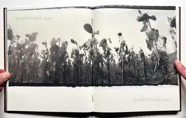 Sample page 12 for book "Bakin, Vic – Vic Bakin - Epitome" Sample page 12 for book "Bakin, Vic – Vic Bakin - Epitome"