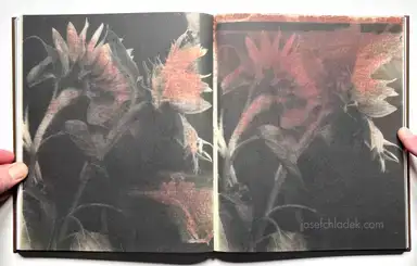 Sample page 8 for book "Bakin, Vic – Vic Bakin - Epitome" Sample page 8 for book "Bakin, Vic – Vic Bakin - Epitome"