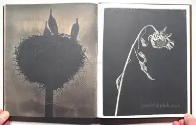 Sample page 1 for book "Bakin, Vic – Vic Bakin - Epitome" Sample page 1 for book "Bakin, Vic – Vic Bakin - Epitome"