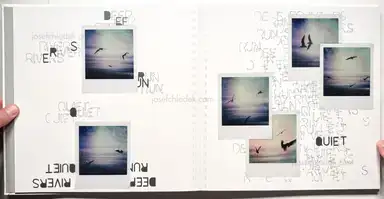 Sample page 11 for book "Skudzinskas, Gytis – Gytis Skudzinskas - Print of Truth / Truth of Print" Sample page 11 for book "Skudzinskas, Gytis – Gytis Skudzinskas - Print of Truth / Truth of Print"