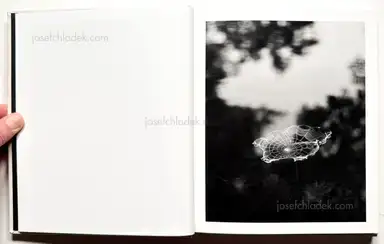 Sample page 17 for book "Guilmoth, Pia Paulina – Paul Guilmoth - At Night Gardens Grow" Sample page 17 for book "Guilmoth, Pia Paulina – Paul Guilmoth - At Night Gardens Grow"