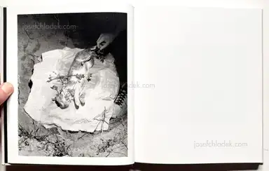 Sample page 14 for book "Guilmoth, Pia Paulina – Paul Guilmoth - At Night Gardens Grow" Sample page 14 for book "Guilmoth, Pia Paulina – Paul Guilmoth - At Night Gardens Grow"