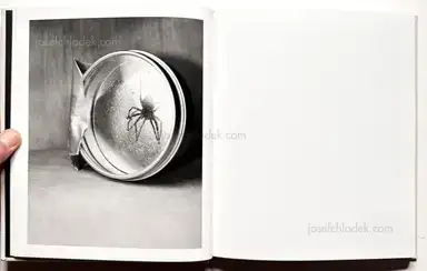 Sample page 13 for book "Guilmoth, Pia Paulina – Paul Guilmoth - At Night Gardens Grow" Sample page 13 for book "Guilmoth, Pia Paulina – Paul Guilmoth - At Night Gardens Grow"