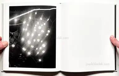 Sample page 7 for book "Guilmoth, Pia Paulina – Paul Guilmoth - At Night Gardens Grow" Sample page 7 for book "Guilmoth, Pia Paulina – Paul Guilmoth - At Night Gardens Grow"