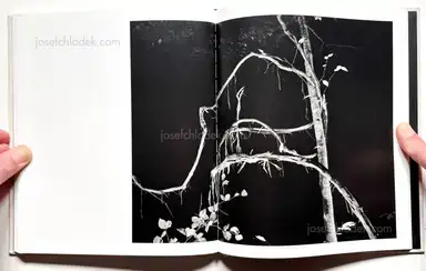 Sample page 3 for book "Guilmoth, Pia Paulina – Paul Guilmoth - At Night Gardens Grow" Sample page 3 for book "Guilmoth, Pia Paulina – Paul Guilmoth - At Night Gardens Grow"