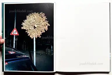 Sample page 13 for book "Teryoshin, Nikita – Nikita Teryoshin - O Tannenbaum" Sample page 13 for book "Teryoshin, Nikita – Nikita Teryoshin - O Tannenbaum"