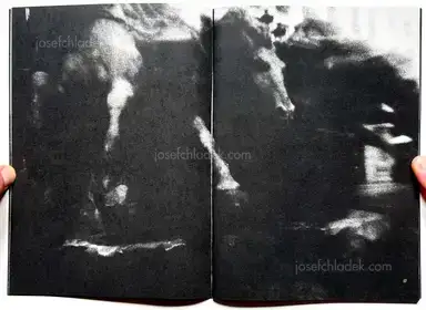 Sample page 12 for book "Various – Various artists - Maledetto Cane #1" Sample page 12 for book "Various – Various artists - Maledetto Cane #1"