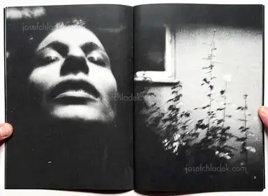 Sample page 11 for book "Various – Various artists - Maledetto Cane #1" Sample page 11 for book "Various – Various artists - Maledetto Cane #1"