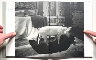 Sample page 10 for book "Lanthimos, Yorgos – Yorgos Lanthimos - Dear God, the Parthenon is still broken" Sample page 10 for book "Lanthimos, Yorgos – Yorgos Lanthimos - Dear God, the Parthenon is still broken"