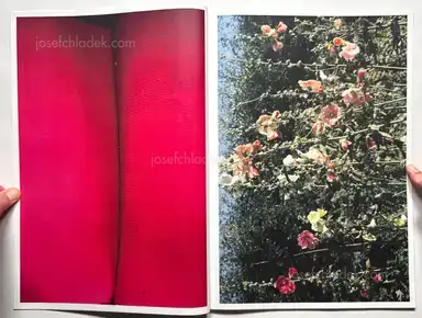 Sample page 11 for book "Brohm, Joachim – Joachim Brohm - Maser" Sample page 11 for book "Brohm, Joachim – Joachim Brohm - Maser"