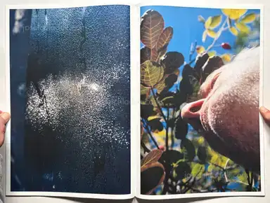 Sample page 7 for book "Brohm, Joachim – Joachim Brohm - Maser" Sample page 7 for book "Brohm, Joachim – Joachim Brohm - Maser"