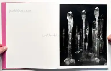 Sample page 14 for book "Guilmoth, Pia Paulina – Pia-Paulina Guilmoth - Flowers Drink the River" Sample page 14 for book "Guilmoth, Pia Paulina – Pia-Paulina Guilmoth - Flowers Drink the River"