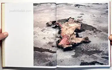 Sample page 14 for book "Olivet, Lucas – Lucas Olivet - Medicine Tree" Sample page 14 for book "Olivet, Lucas – Lucas Olivet - Medicine Tree"