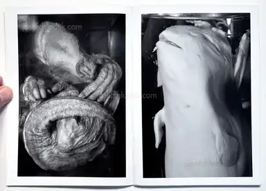 Sample page 10 for book "Dooks, Chris – Chris Dooks - We Love You Forever" Sample page 10 for book "Dooks, Chris – Chris Dooks - We Love You Forever"