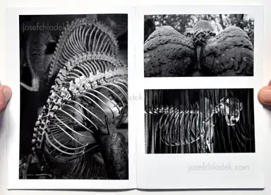 Sample page 8 for book "Dooks, Chris – Chris Dooks - We Love You Forever" Sample page 8 for book "Dooks, Chris – Chris Dooks - We Love You Forever"