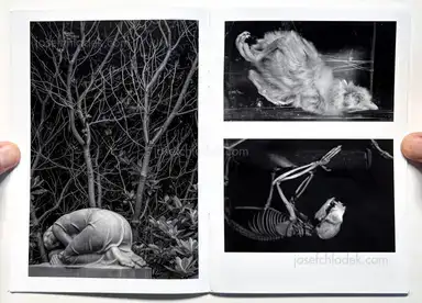 Sample page 7 for book "Dooks, Chris – Chris Dooks - We Love You Forever" Sample page 7 for book "Dooks, Chris – Chris Dooks - We Love You Forever"