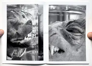 Sample page 6 for book "Dooks, Chris – Chris Dooks - We Love You Forever" Sample page 6 for book "Dooks, Chris – Chris Dooks - We Love You Forever"