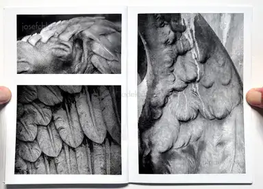 Sample page 4 for book "Dooks, Chris – Chris Dooks - We Love You Forever" Sample page 4 for book "Dooks, Chris – Chris Dooks - We Love You Forever"