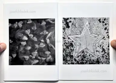 Sample page 3 for book "Dooks, Chris – Chris Dooks - We Love You Forever" Sample page 3 for book "Dooks, Chris – Chris Dooks - We Love You Forever"