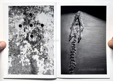 Sample page 2 for book "Dooks, Chris – Chris Dooks - We Love You Forever" Sample page 2 for book "Dooks, Chris – Chris Dooks - We Love You Forever"