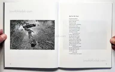 Sample page 9 for book "Impey, Lawrence and Sue Rose – Lawrence Impey & Sue Rose - Tonewood" Sample page 9 for book "Impey, Lawrence and Sue Rose – Lawrence Impey & Sue Rose - Tonewood"