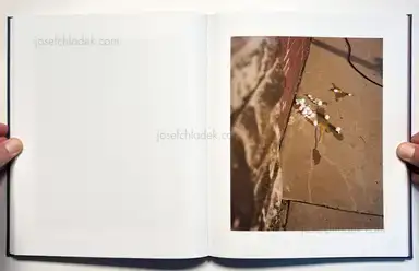 Sample page 4 for book "Halpern, Gregory – Gregory Halpern - King, Queen, Knave" Sample page 4 for book "Halpern, Gregory – Gregory Halpern - King, Queen, Knave"