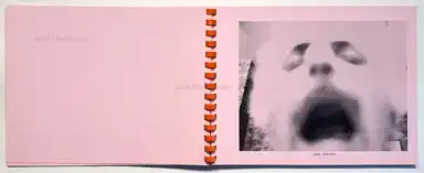 Sample page 15 for book "Delford Brown, Robert – Robert Delford Brown - First Class Portraits" Sample page 15 for book "Delford Brown, Robert – Robert Delford Brown - First Class Portraits"