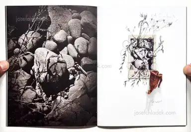 Sample page 22 for book "Anzenberger, Regina – Regina Anzenberger - The Australian Journey" Sample page 22 for book "Anzenberger, Regina – Regina Anzenberger - The Australian Journey"