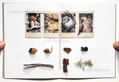 Sample page 20 for book "Anzenberger, Regina – Regina Anzenberger - The Australian Journey" Sample page 20 for book "Anzenberger, Regina – Regina Anzenberger - The Australian Journey"