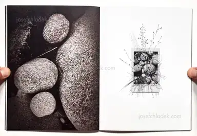 Sample page 19 for book "Anzenberger, Regina – Regina Anzenberger - The Australian Journey" Sample page 19 for book "Anzenberger, Regina – Regina Anzenberger - The Australian Journey"