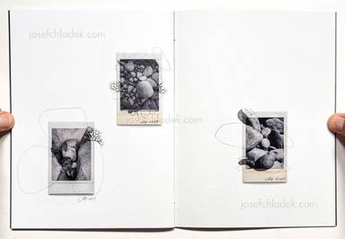 Sample page 17 for book "Anzenberger, Regina – Regina Anzenberger - The Australian Journey" Sample page 17 for book "Anzenberger, Regina – Regina Anzenberger - The Australian Journey"