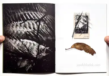 Sample page 16 for book "Anzenberger, Regina – Regina Anzenberger - The Australian Journey" Sample page 16 for book "Anzenberger, Regina – Regina Anzenberger - The Australian Journey"