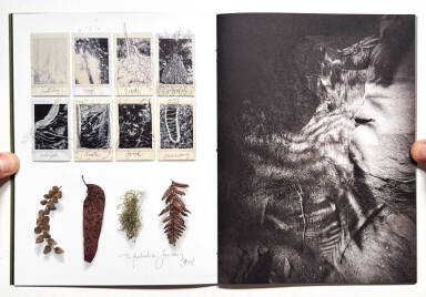 Sample page 15 for book "Anzenberger, Regina – Regina Anzenberger - The Australian Journey" Sample page 15 for book "Anzenberger, Regina – Regina Anzenberger - The Australian Journey"