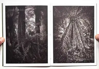 Sample page 13 for book "Anzenberger, Regina – Regina Anzenberger - The Australian Journey" Sample page 13 for book "Anzenberger, Regina – Regina Anzenberger - The Australian Journey"