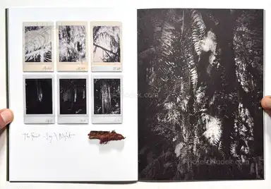 Sample page 12 for book "Anzenberger, Regina – Regina Anzenberger - The Australian Journey" Sample page 12 for book "Anzenberger, Regina – Regina Anzenberger - The Australian Journey"