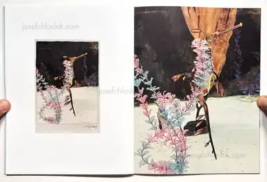 Sample page 6 for book "Anzenberger, Regina – Regina Anzenberger - The Australian Journey" Sample page 6 for book "Anzenberger, Regina – Regina Anzenberger - The Australian Journey"