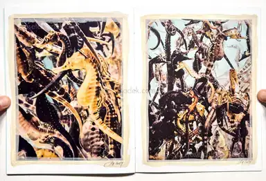 Sample page 2 for book "Anzenberger, Regina – Regina Anzenberger - The Australian Journey" Sample page 2 for book "Anzenberger, Regina – Regina Anzenberger - The Australian Journey"