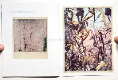 Sample page 1 for book "Anzenberger, Regina – Regina Anzenberger - The Australian Journey" Sample page 1 for book "Anzenberger, Regina – Regina Anzenberger - The Australian Journey"