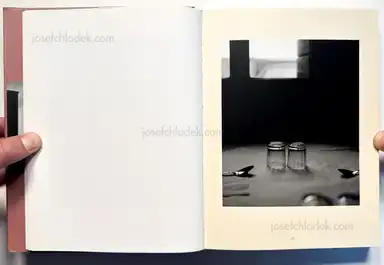 Sample page 16 for book "Gossage, John – John Gossage - The Romance industry" Sample page 16 for book "Gossage, John – John Gossage - The Romance industry"