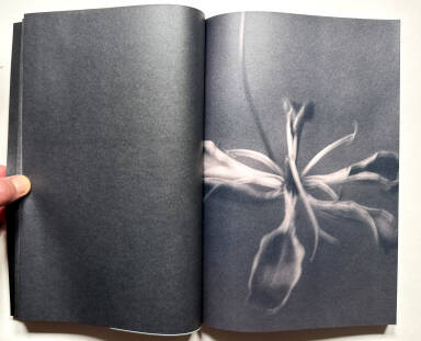 Sample page 9 for book Elizabeth Alderliesten &ndash; Remember Who You Once Were