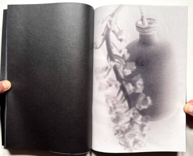 Sample page 10 for book Elizabeth Alderliesten &ndash; Remember Who You Once Were