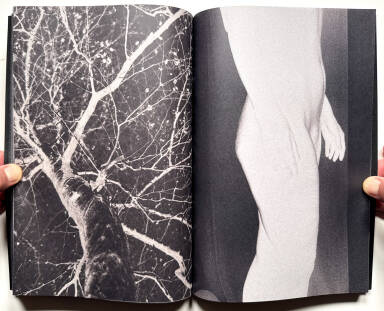 Sample page 12 for book Elizabeth Alderliesten &ndash; Remember Who You Once Were